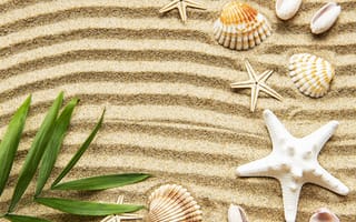 Картинка песок, пляж, texture, beach, ракушки, sand