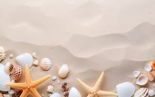 Картинка песок, море, ракушки, sea, пляж, texture, beach