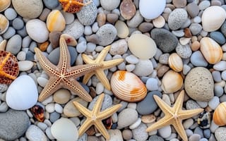 Картинка пляж, галька, камни, texture, beach, ракушки, colorful