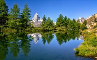 Картинка деревья, горы, отражение, Alps, Швейцария, Switzerland, Альпы, озеро