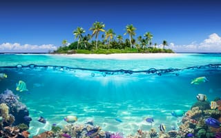 Картинка песок, море, пляж, небо, лето, пальмы, beach, summer