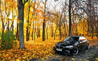 Картинка F10, Autumn, черная, BMW, 550X, листья, БМВ, Осень