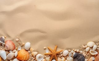 Картинка песок, пляж, sand, ракушки, beach, texture