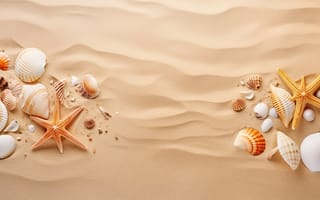 Картинка песок, пляж, beach, sand, texture, ракушки