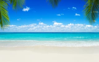 Картинка песок, море, небо, beach, summer, лето, пляж, пальмы