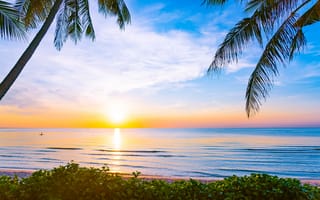 Картинка песок, море, лето, небо, пляж, beach, пальмы, summer
