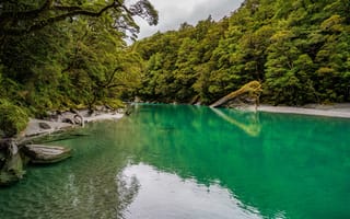 Картинка лес, деревья, река