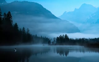 Картинка лес, деревья, Austria, озеро, горы, Philipp Fuchsluger, туман