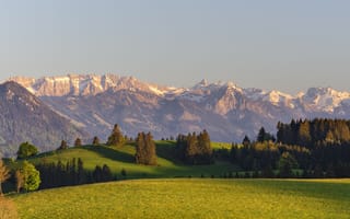 Картинка grass, trees, shot, mountains, meadow, angle, covered