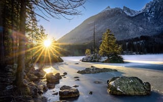 Картинка Река, Германия, Germany, Forest, Солнечный свет, River, Лес, Sunshine