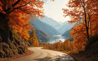 Картинка дорога, осень, деревья, forest, autumn, листья, road, лес