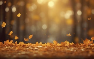 Картинка осень, листья, autumn, colorful, деревья, leaves