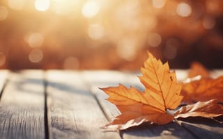 Картинка осень, листья, colorful, autumn, wood, leaves, деревья