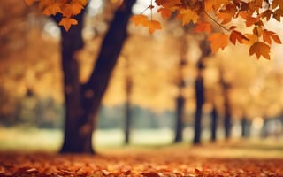 Картинка осень, листья, autumn, деревья, colorful, парк, park, leaves