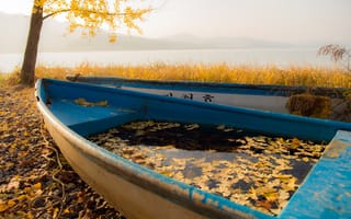 Картинка лодки, листья, осень