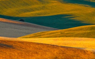 Картинка поля, Италия, природа, Тоскана, ковры