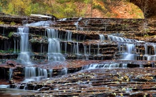 Картинка Zion National Park, ручей, скалы, водопад, юта, сша, листья