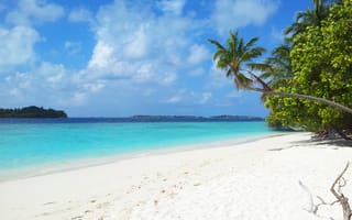 Картинка тропики, красота, отпуск, oстров, Мальдивы