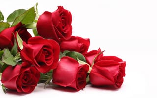 Картинка Розы, 8 марта, международный женский день, красные