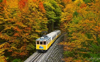 Картинка осень, лес, Germany, деревья, Maarten Schoubben, поезд, Wendelstein Rack Railway, железная дорога