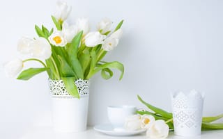 Картинка листья, весна, блюдце, цветы, чашка, белые, ваза, тюльпаны