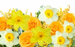 Картинка цветы, желтый, daffodils, mimosa, white, spring, весна, белый, мимоза, yellow, flowers, delicate, нарциссы