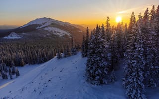 Картинка зима, лес, склон, горы, снег, Россия, закат, ели