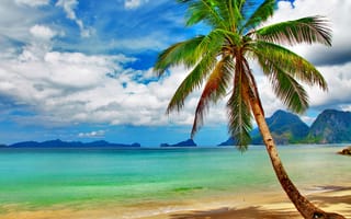 Картинка paradise, пляж, океан, море, берег, тропики, ocean, песок, sea, blue, солнце, summer, tropical, остров, sand, coast, beach, vacation, emerald, palm