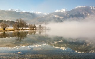 Картинка туман, утро, Slovenia, Bohinj