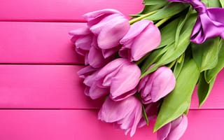 Картинка тюльпаны, розовые, tulips, beautiful, flowers, bow, fresh, bouquet, pink