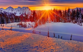 Картинка лучи, сша, снег, washington, горы, закат, лес, деревья, солнце, зима, небо