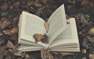Картинка листья, буквы, leaves, letters, книга, book, открытая книга, open book
