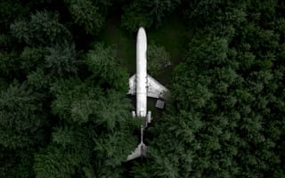 Картинка лес, деревья, вид сверху, Boeing 727, самолёт, USA, Hillsboro, Oregon