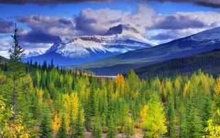 Картинка горы, небо, озеро, лес, канада, canada, снег, alberta, banff national park, деревья, осень