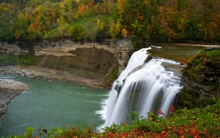 Картинка осень, деревья, водопад, цветы, лес, река