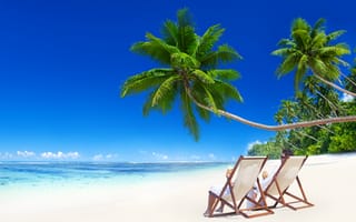 Обои пальмы, солнце, море, beach, emerald, tropical, blue, песок, sand, paradise, берег, vacation, пляж, palm, ocean, summer, океан, coast, тропики, sea, остров