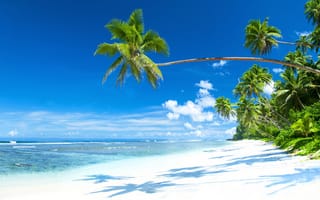 Картинка песок, море, summer, солнце, берег, sand, sea, океан, blue, пляж, coast, paradise, тропики, ocean, остров, beach