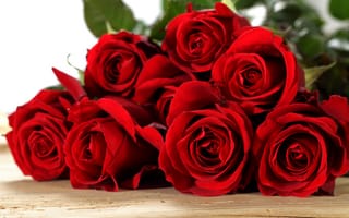 Картинка розы, красные, roses, flowers, red, romantic, with love