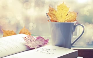 Обои autumn, осень, чашка, bokeh, книга, листья