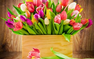 Картинка цветы, коробка, букет тюльпанов, радужные цвета