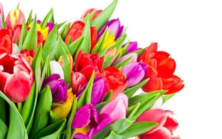 Картинка colorful, тюльпаны, tulips, flowers