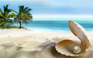 Картинка paradise, beach, tropical, summer, palm, coast, море, песок, sea, seashell, emerald, ракушка, sand, пляж, ocean, blue, океан, жемчужина, солнце, perl, тропики