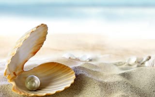 Картинка ракушка, beach, песок, море, тропики, океан, seashell, perl, sand, солнце, жемчужина, пляж
