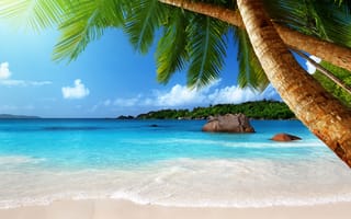 Обои пальмы, пляж, тропики, coast, sea, tropical, beach, солнце, остров, берег, palm, blue, sand, песок, emerald, море, ocean, paradise, океан, vacation, summer