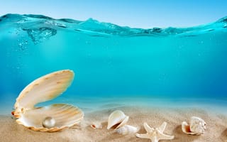 Картинка underwater, океан, море, sand, дно, seashells, песок, ракушки, ocean