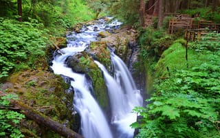 Картинка водопад, река, Olympic National Park, деревья, лес, поток, Sol Duc Falls, США, Washington