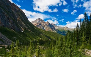 Картинка снег, облака, небо, Alberta, канада, горы, Jasper National Park, деревья, лес, Canada