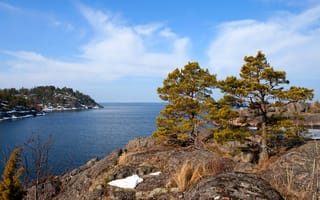 Картинка море, скала, Швеция, деревья, небо, облака