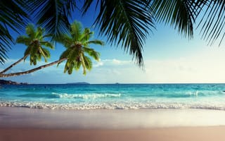 Картинка пальмы, небо, summer, берег, sky, emerald, beach, vacation, tropical, paradise, океан, море, солнце, песок, ocean, coast, тропики, sunshine, sea, blue, palm, пляж, sand