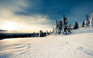 Картинка небо, зима, лес, Снег